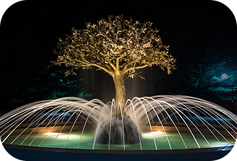 Where water, light, and sound come together in motion