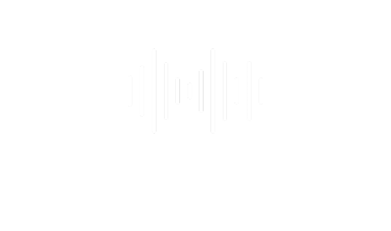 Boardroom Auditorium AV Solutions